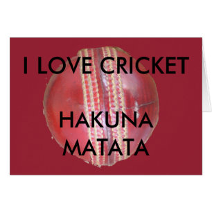 Fun Cricket Ball-ontwerp