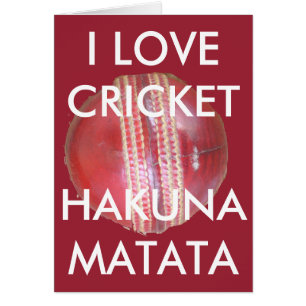 Fun Cricket Ball-ontwerp