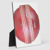 Fun Cricket Ball-ontwerp Fotoplaat (Zijkant)