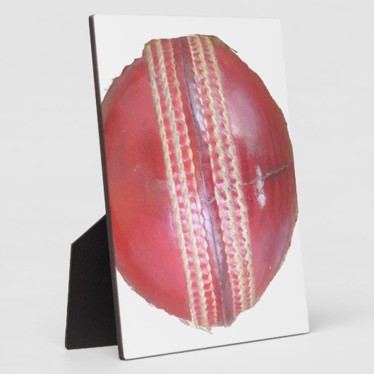 Fun Cricket Ball-ontwerp Fotoplaat (Zijkant)