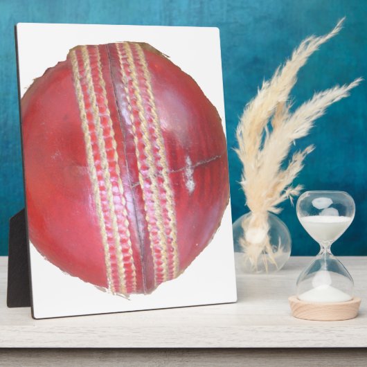 Fun Cricket Ball-ontwerp Fotoplaat (Zijkant)