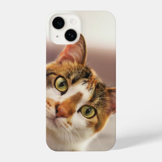 Fun curieuze kat Kitten Pet Animal iPhone Hoesje (Achterkant)