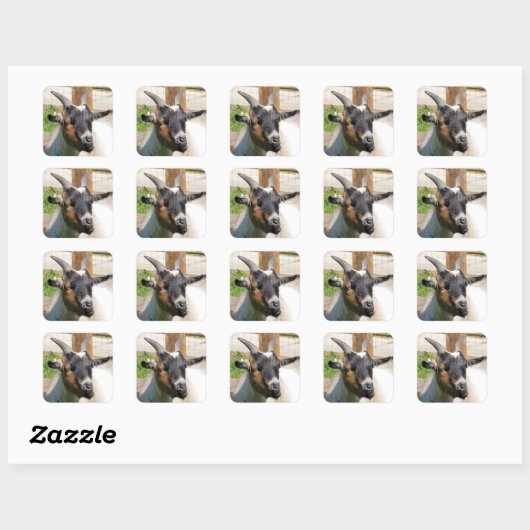 FUN CUTE GOAT VIERKANTE STICKER (Vel)