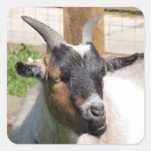 FUN CUTE GOAT VIERKANTE STICKER (Voorkant)