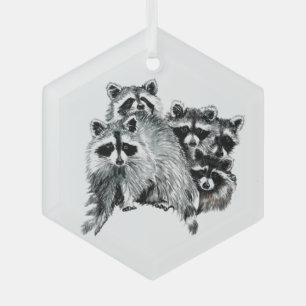 Fun Cute Waterverf Raccoon Animal Wildlife Natuur Glas Ornament