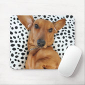 Fun Dachshund Mousepad Muismat (Met muis)