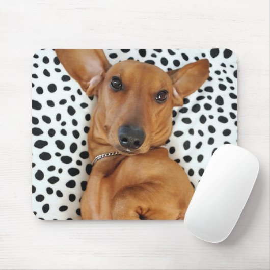 Fun Dachshund Mousepad Muismat (Met muis)