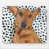 Fun Dachshund Mousepad Muismat (Voorkant)