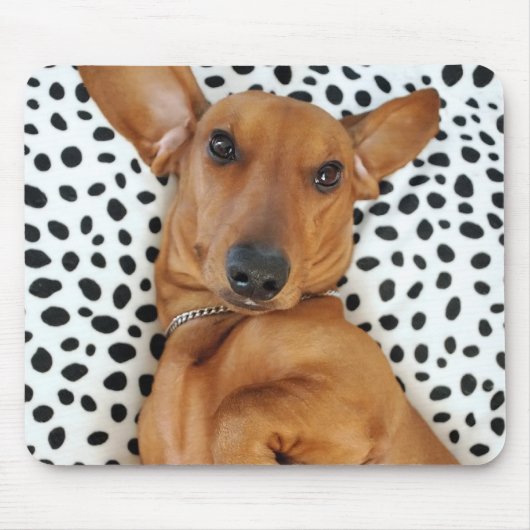 Fun Dachshund Mousepad Muismat (Voorkant)