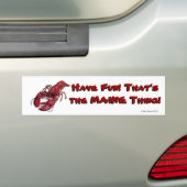 Fun... Dat is het MAINE ding. Bumpersticker (Op auto)