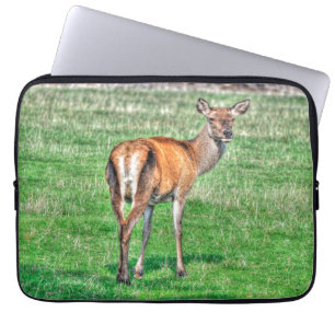 Fun Design voor het Kind in ons allemaal! Laptop Sleeve