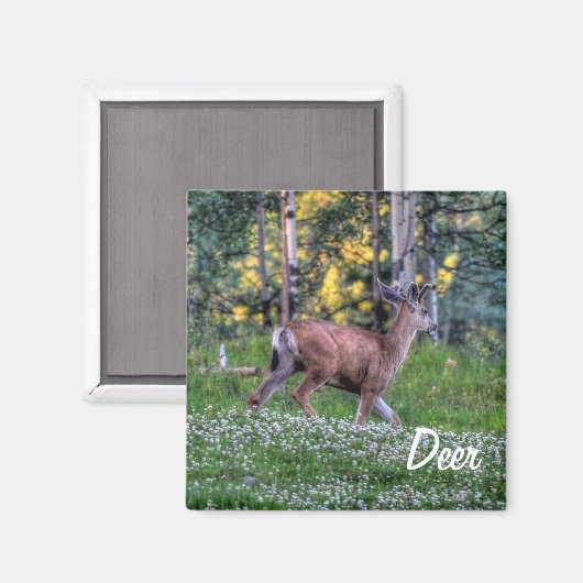 Fun Design voor het Kind in ons allemaal! Magneet (Voorkant / Achterkant)