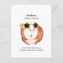 Fun Dictionary Guinea Pig Briefkaart