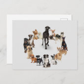 Fun Dog Breed Pet Animals Large Clock Pocket Watch Briefkaart (Voorkant / Achterkant)