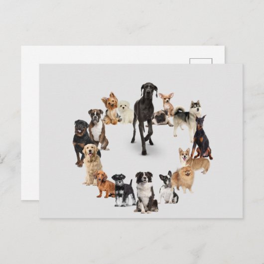 Fun Dog Breed Pet Animals Large Clock Pocket Watch Briefkaart (Voorkant / Achterkant)