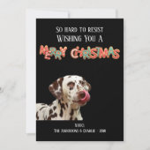 Fun Dog Foto Kerstkoekje Feestdagenkaart (Voorkant)