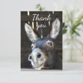 Fun Donkey, Burro, Boerderij Animal Humor Dank je Bedankkaart (Staand voorkant)