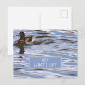 Fun Duck Briefkaart (Voorkant / Achterkant)