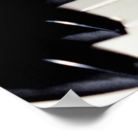 Fun en Colorful Musical Poster (Hoek)