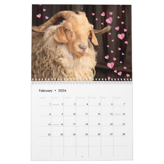 Fun en Friendly Goat Kalender (Feb 2026)
