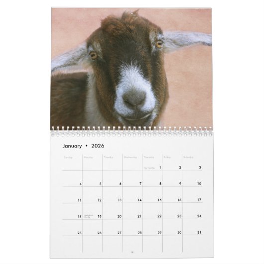 Fun en Friendly Goat Kalender (Jan 2026)