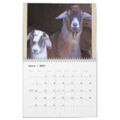 Fun en Friendly Goat Kalender (Mar 2027)