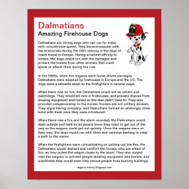 Fun Facts over Dalmatians Firehouse Dogs Poster