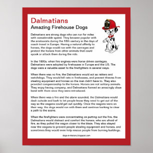 Fun Facts over Dalmatians Firehouse Dogs Poster