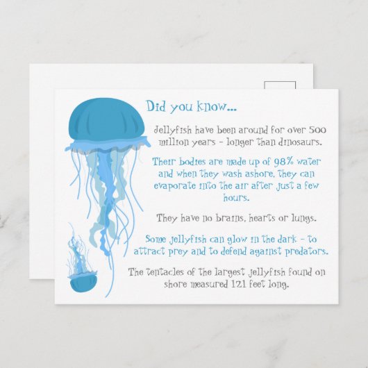 Fun Feit over kwallen Briefkaart (Voorkant / Achterkant)