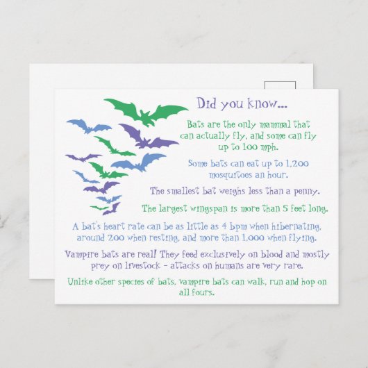 Fun Feiten over vleermuizen Briefkaart (Voorkant / Achterkant)