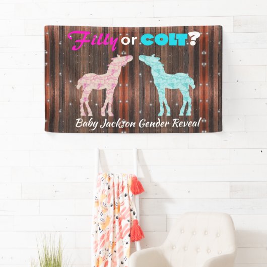 Fun "Filly or Colt" Spandoek (Insitu)