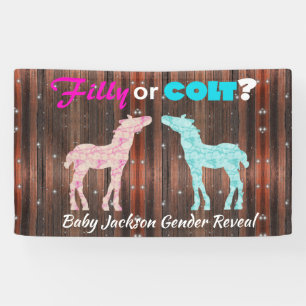 Fun "Filly or Colt" Spandoek