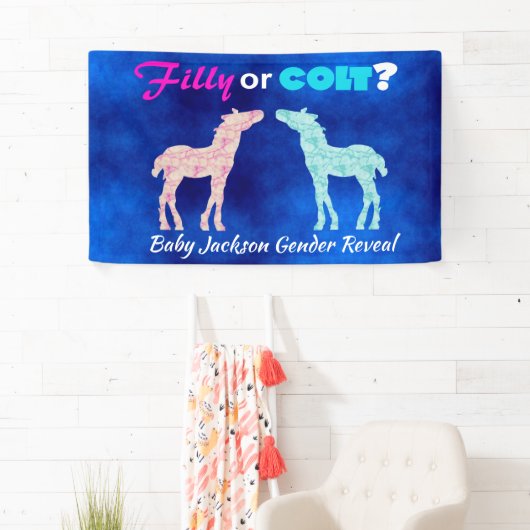 Fun "Filly or Colt" Spandoek (Insitu)