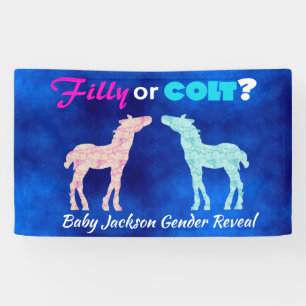 Fun "Filly or Colt" Spandoek