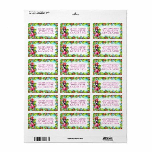 Fun Flamingo Tropical Afstuderen Retouradres Etiket (Full Sheet)