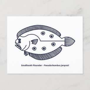 Fun Flounder Fish in Deepest Blue en White Briefkaart