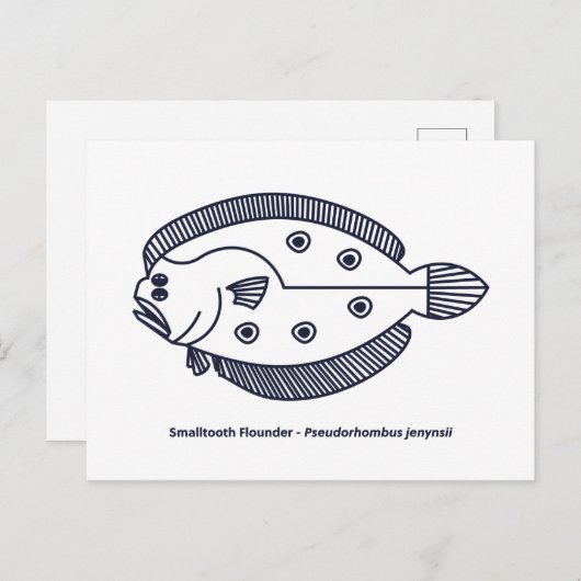 Fun Flounder Fish in Deepest Blue en White Briefkaart (Voorkant / Achterkant)