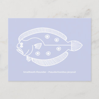 Fun Flounder Vis in Wit op Licht Paarse Briefkaart