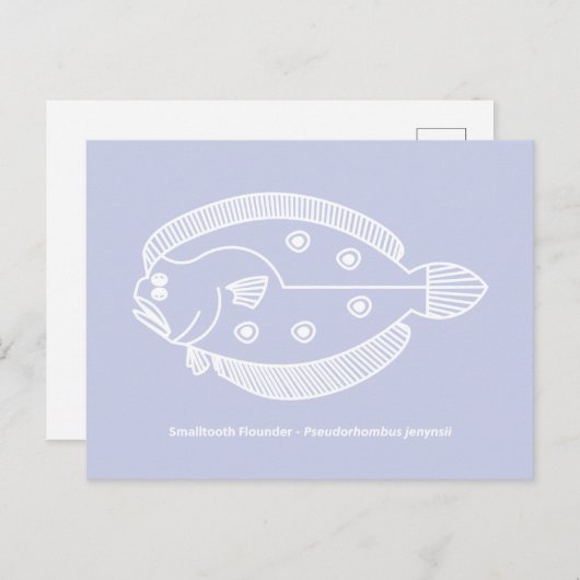Fun Flounder Vis in Wit op Licht Paarse Briefkaart (Voorkant / Achterkant)