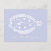 Fun Flounder Vis in Wit op Licht Paarse Briefkaart (Voorkant)