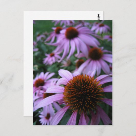 Fun Flowers Briefkaart (Voorkant / Achterkant)