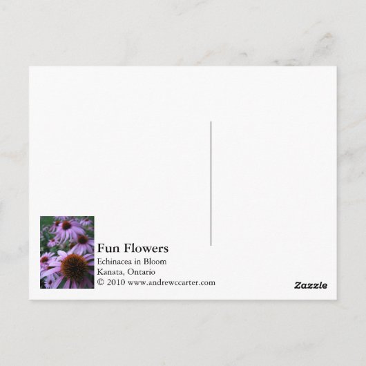 Fun Flowers Briefkaart (Achterkant)