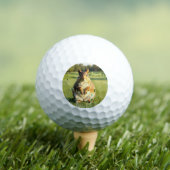 Fun Fox Squirrel Golf Balls Golfballen (Insitu Shirt)