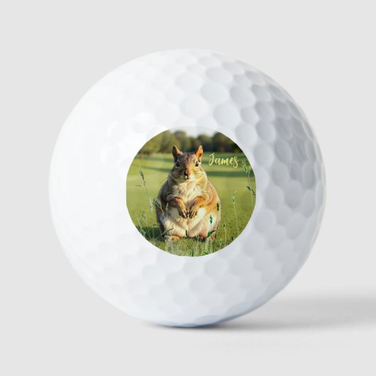 Fun Fox Squirrel Golf Balls Golfballen (Voorkant)