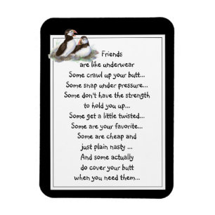 Fun Friend is als een ondergoed citaat Puffin Magneet