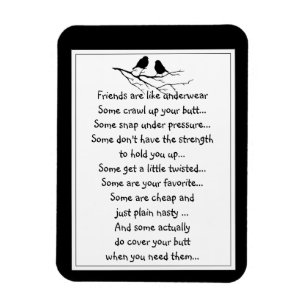 Fun Friend is net als Underslijtage Quote Birds Magneet