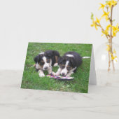 Fun, Fun. Kaart (Gele Bloem)