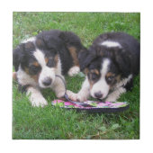 Fun, Fun. Tegeltje (Voorkant)