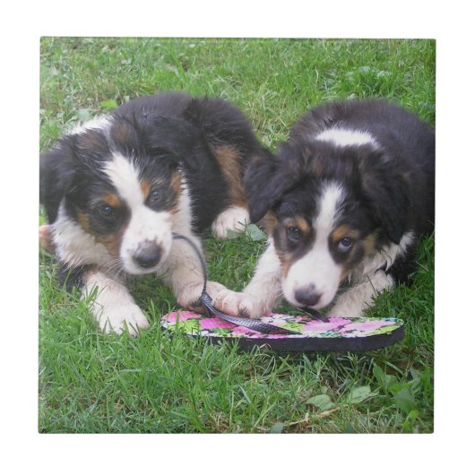 Fun, Fun. Tegeltje (Voorkant)