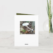 Fun Fungi Happy Birthday-kaart - aanpasbaar Kaart (Achterkant)